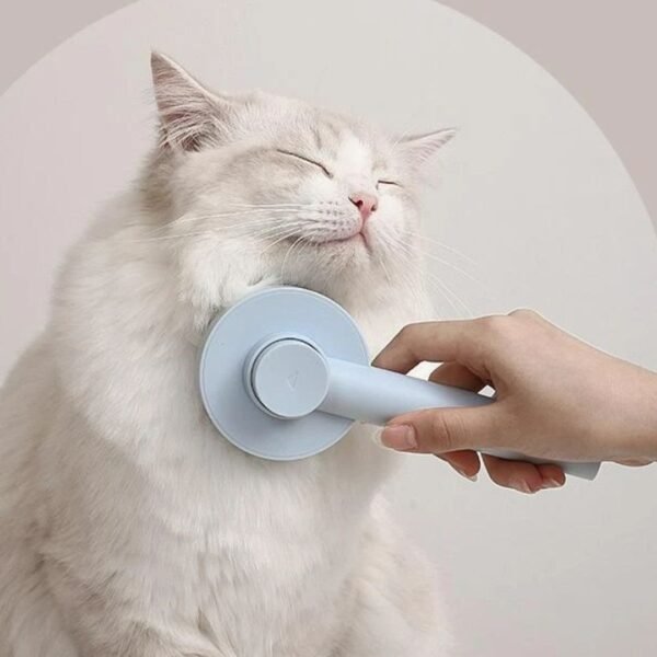 Cat Face Self Cleaning Brush For Cats And Dogs