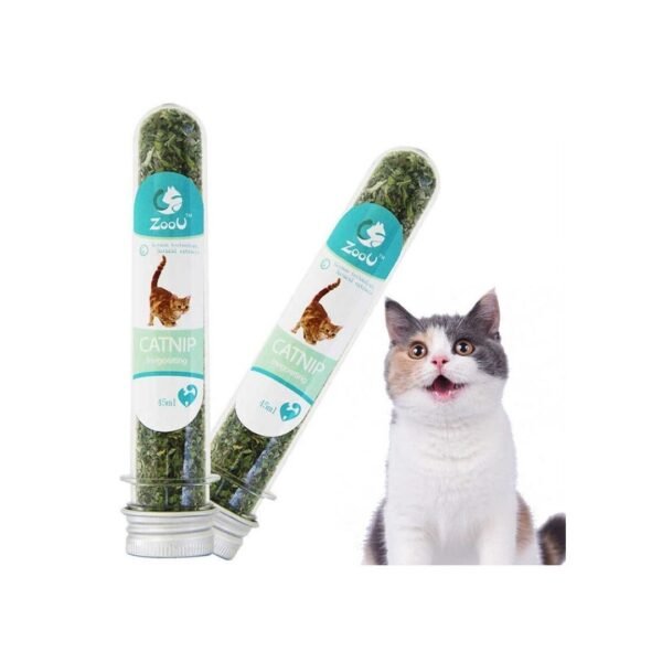 Cat Nip / Cat Nip Tube – 40 ML